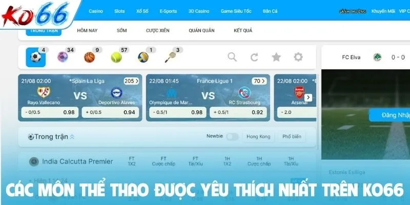 Các môn thể thao được yêu thích nhất trên KO66