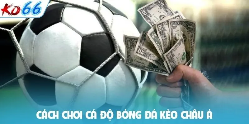 Cách chơi cá độ bóng đá kèo châu Á