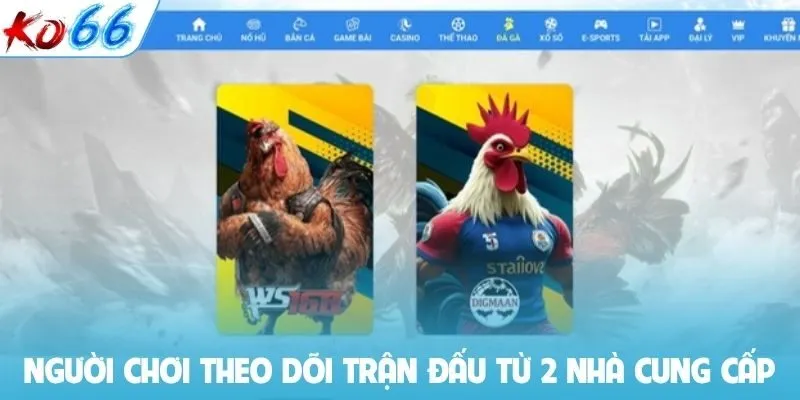 Người chơi theo dõi các trận đấu từ 2 nhà cung cấp