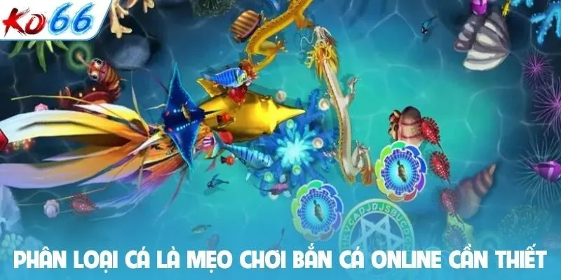 Phân loại cá là mẹo chơi bắn cá online cần thiết