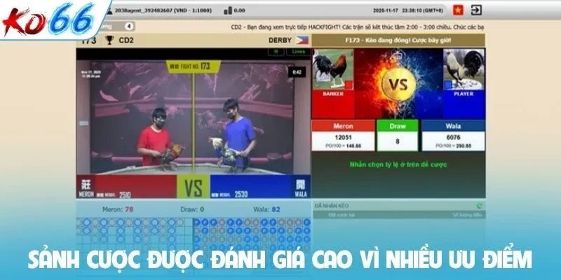 Sảnh cược được đánh giá cao vì nhiều ưu điểm
