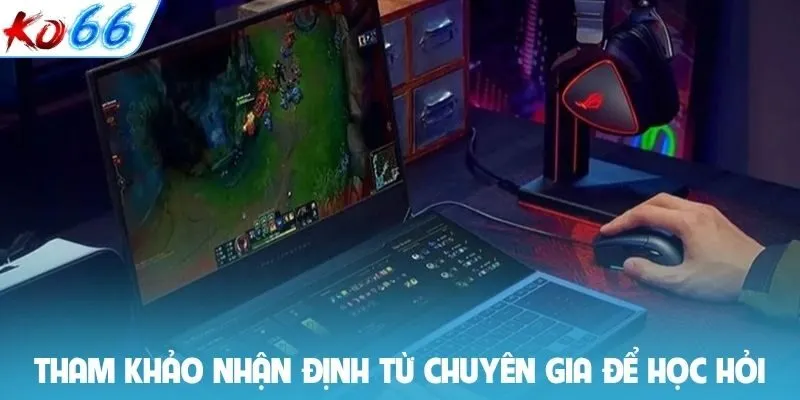 Tham khảo nhận định từ chuyên gia để học hỏi