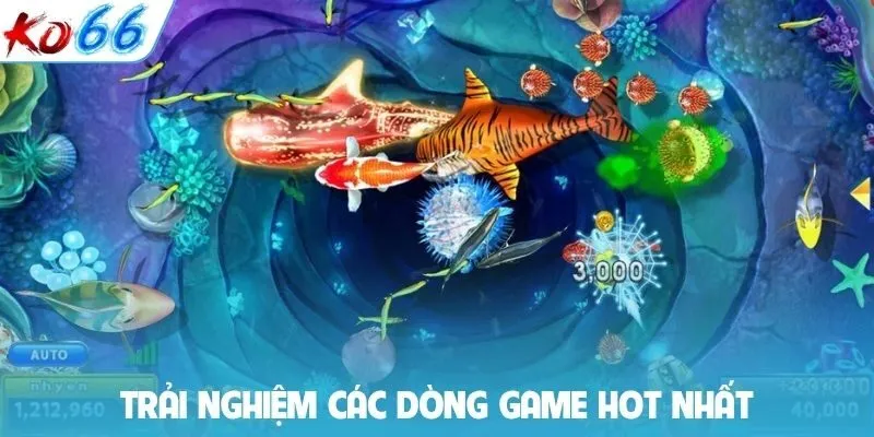 Trải nghiệm các dòng game hot nhất
